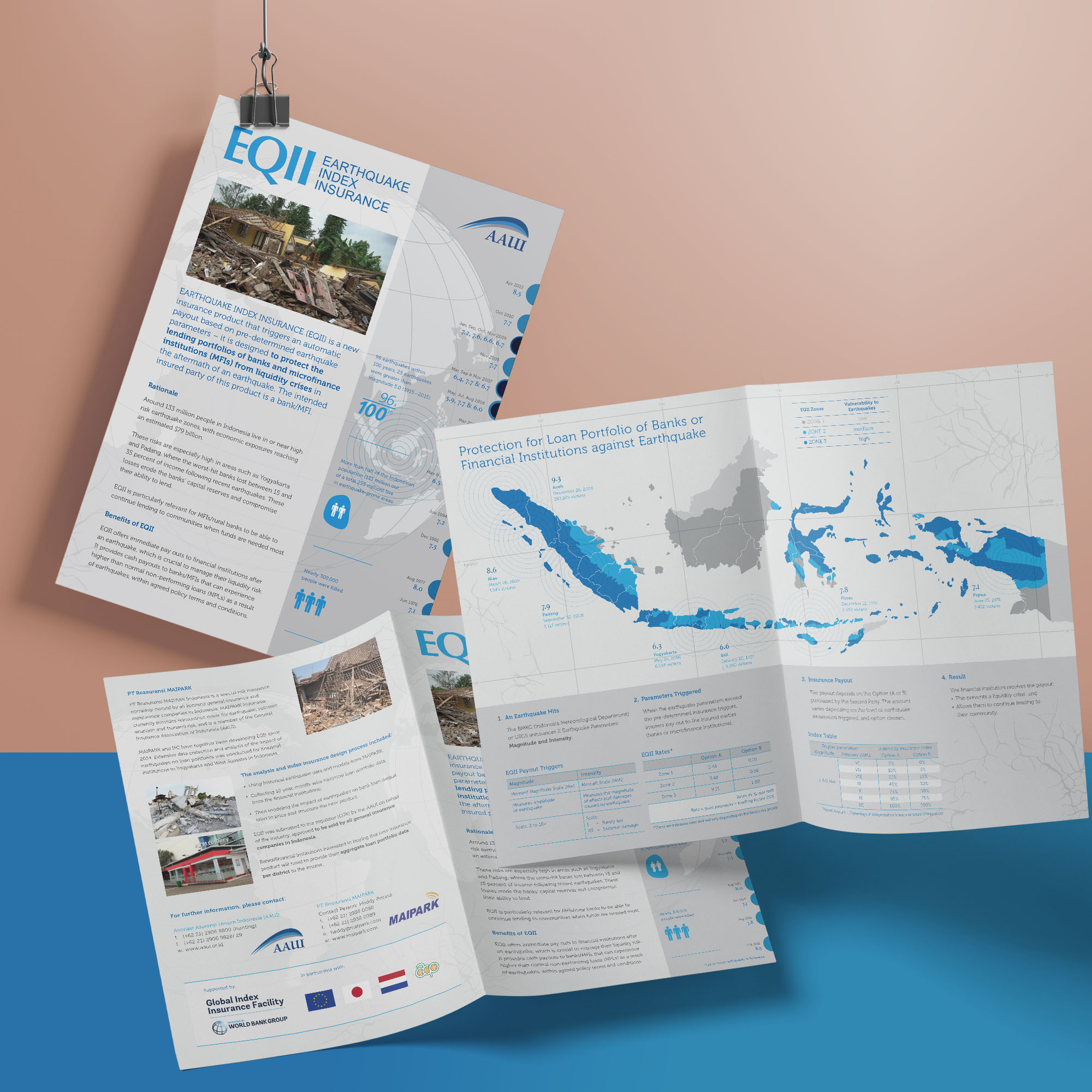 A program profile to introduce to stakeholders.