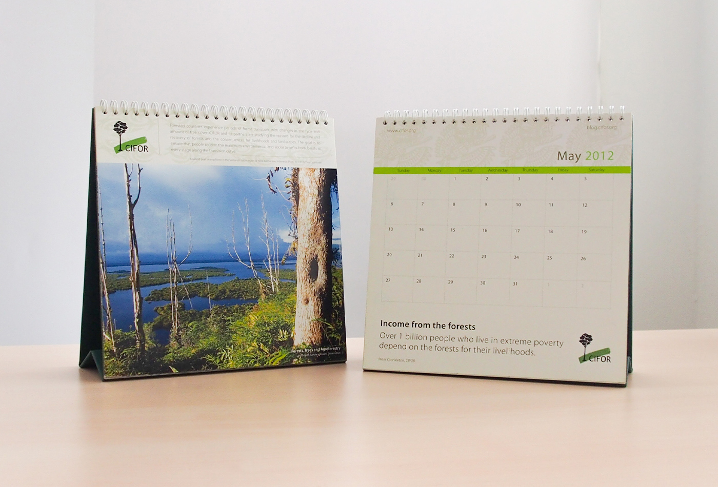 A custom calendar design for useful activities and schedule management.