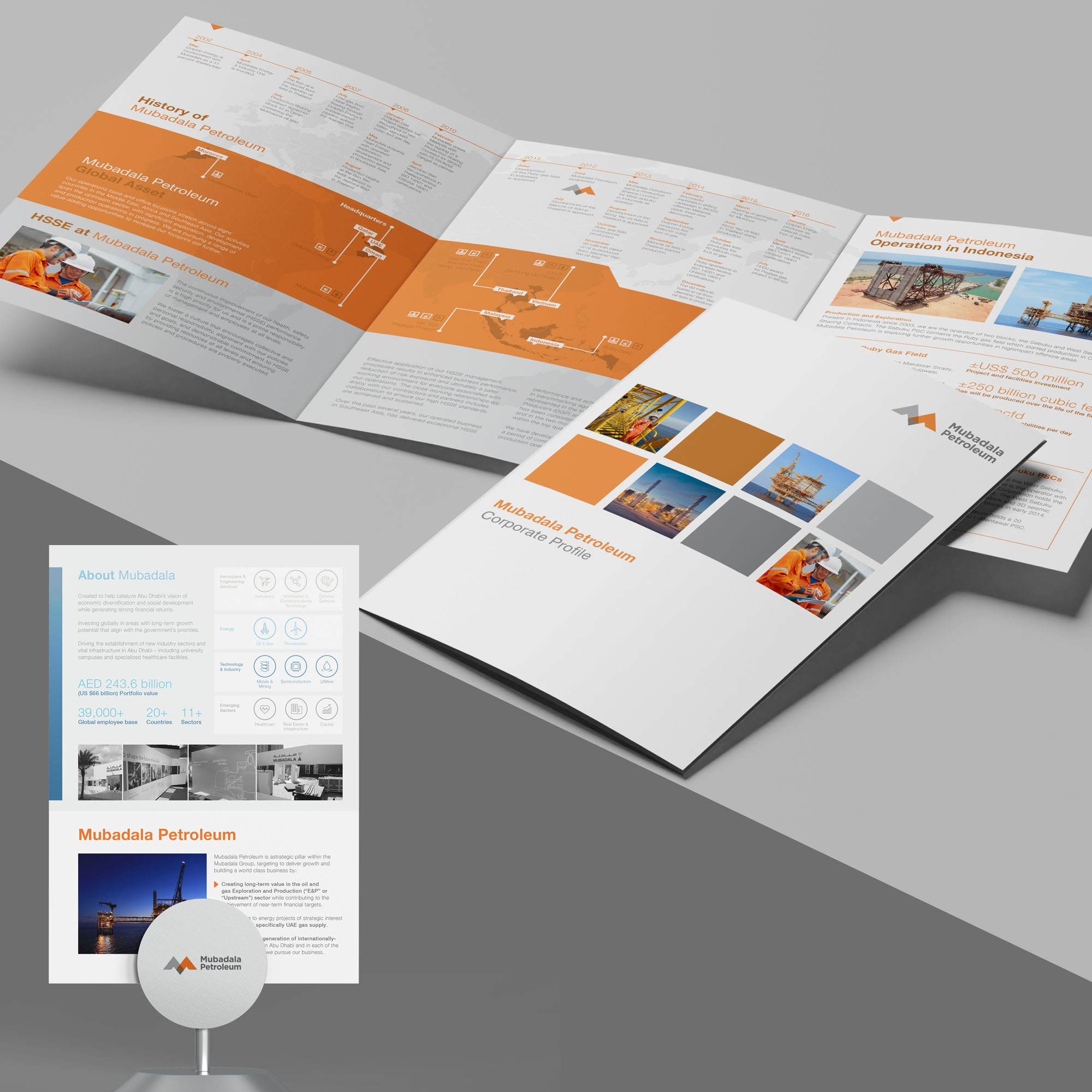 A brief company profile to provide general information to the public.