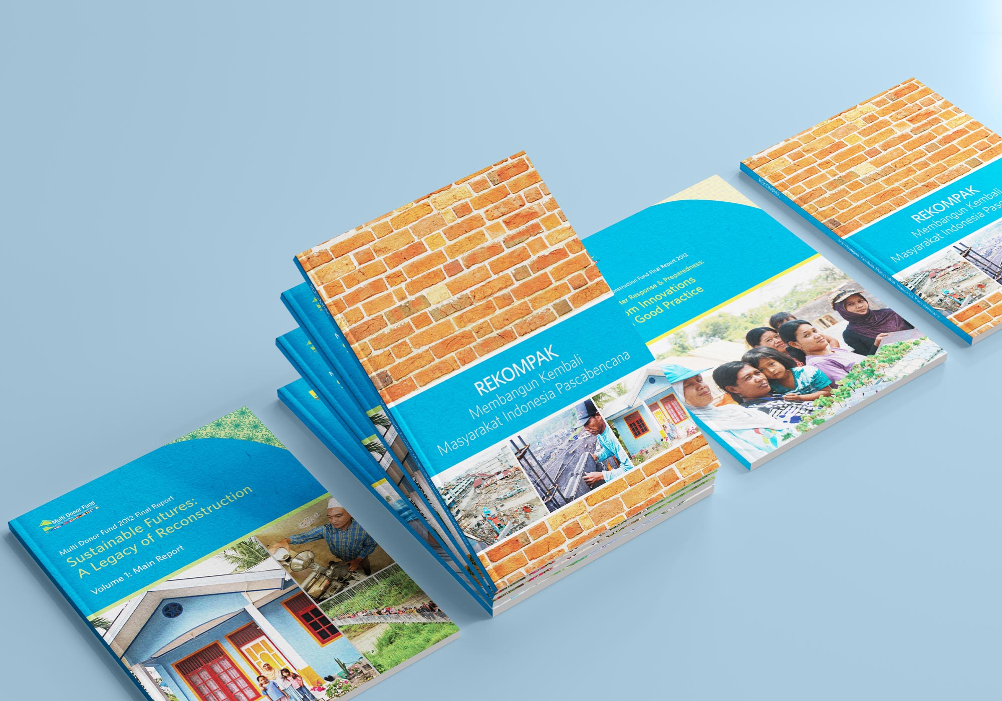 Series of books reporting lessons learned and implementation of the programs before it ended.