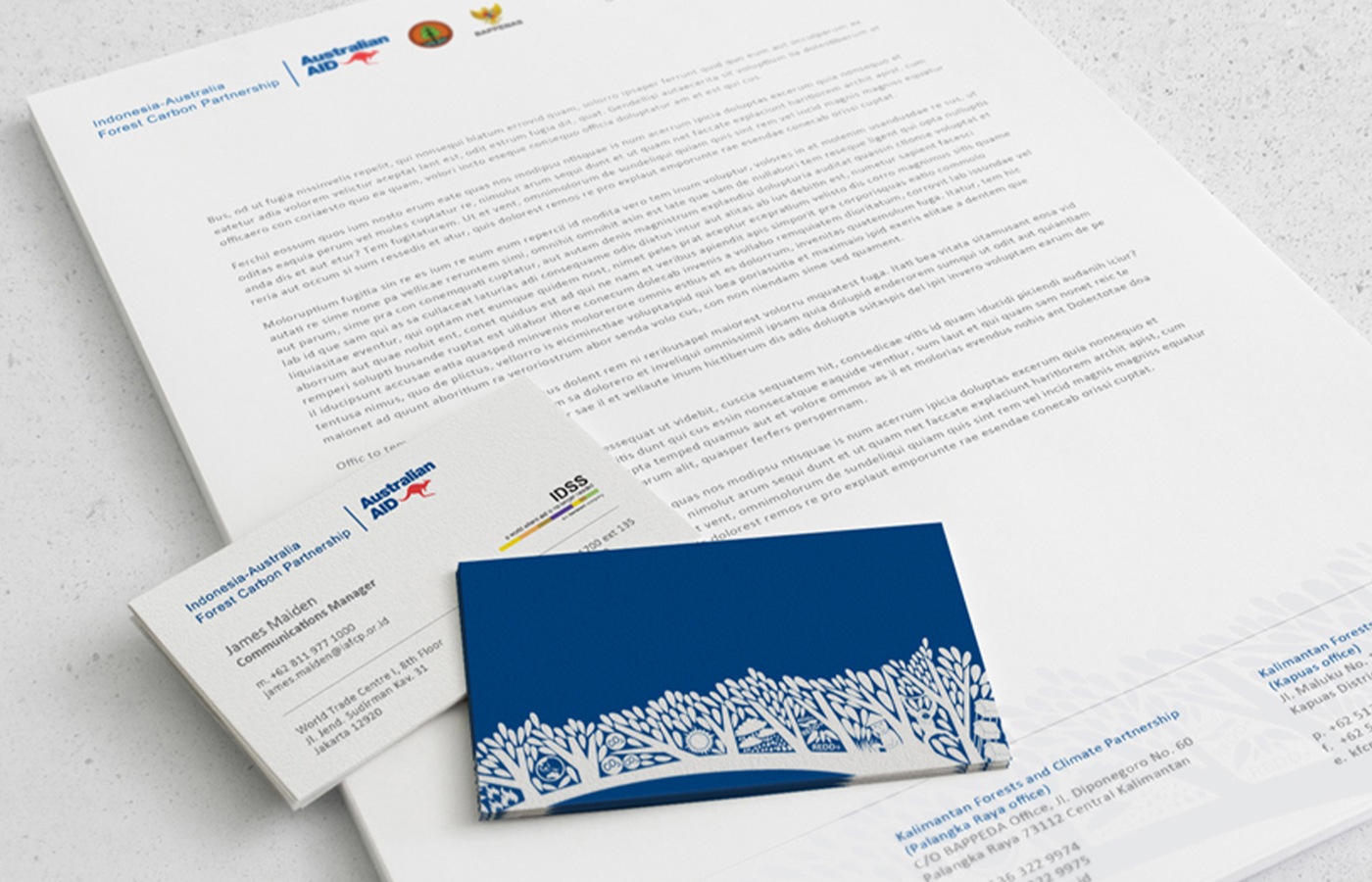 Program visual branding for formal and official purposes.