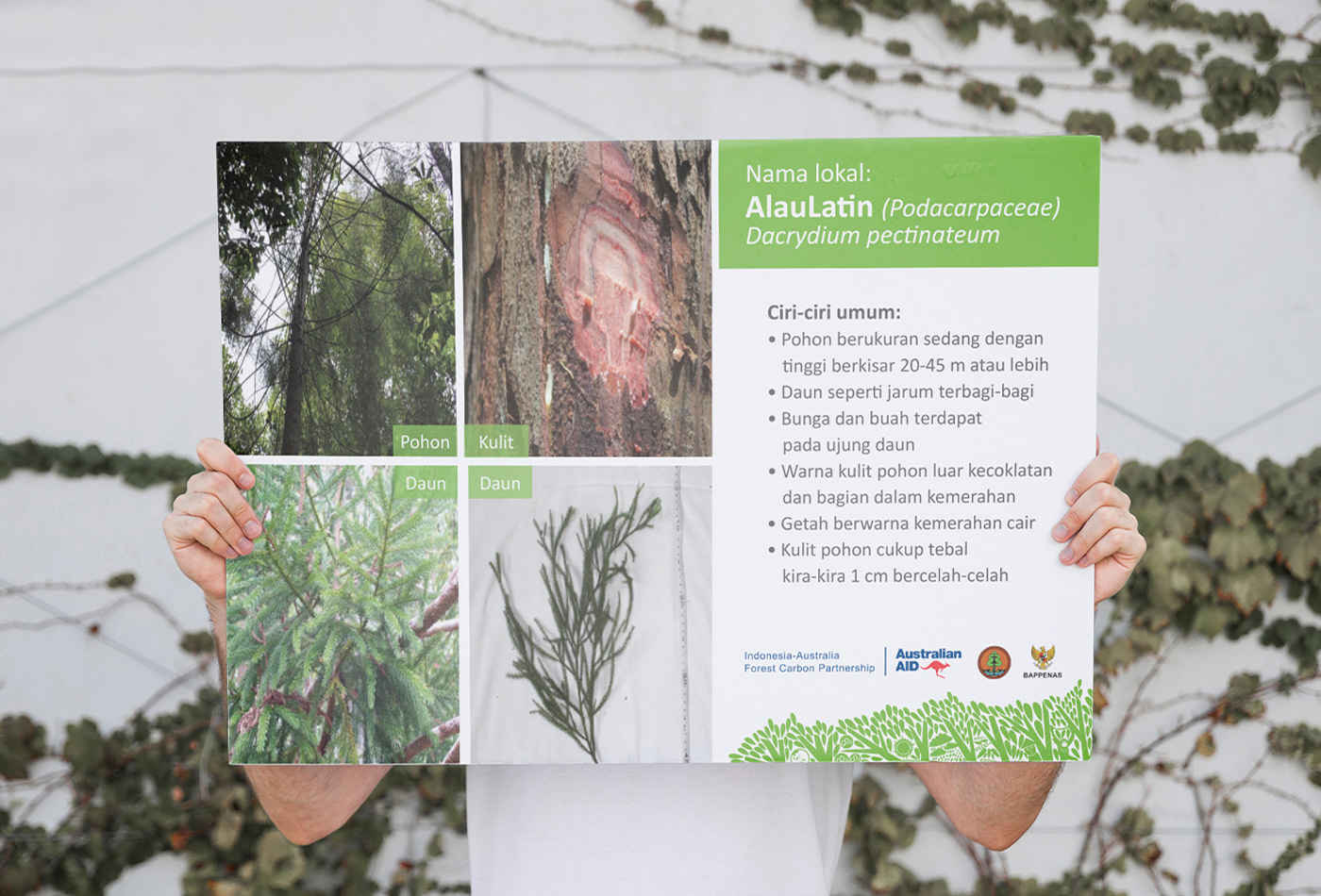 Description cue card design for easy explanation and teaching aid material.