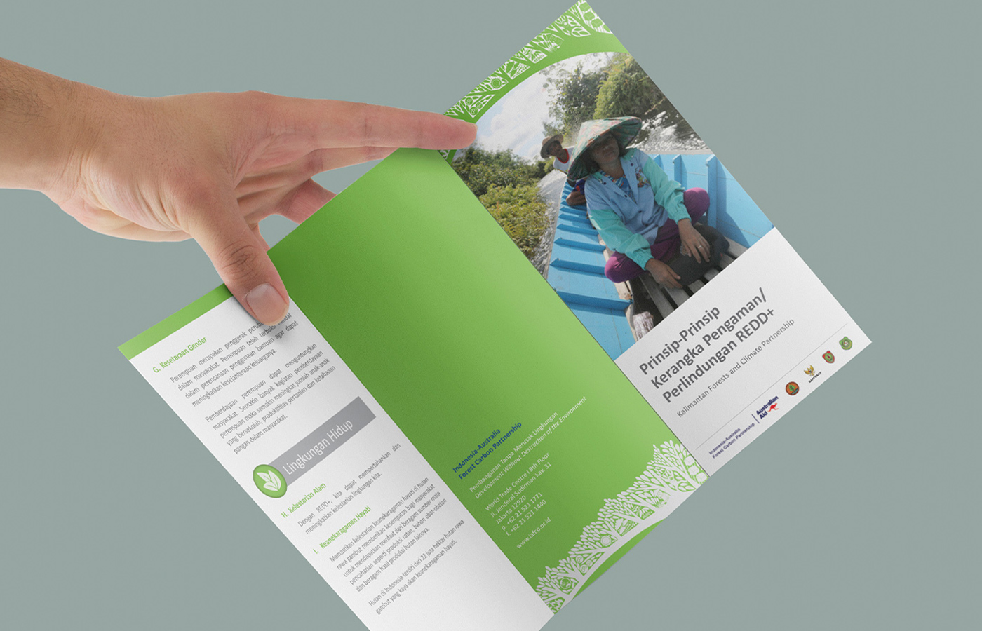 Brochures to educate program partners and stakeholders.