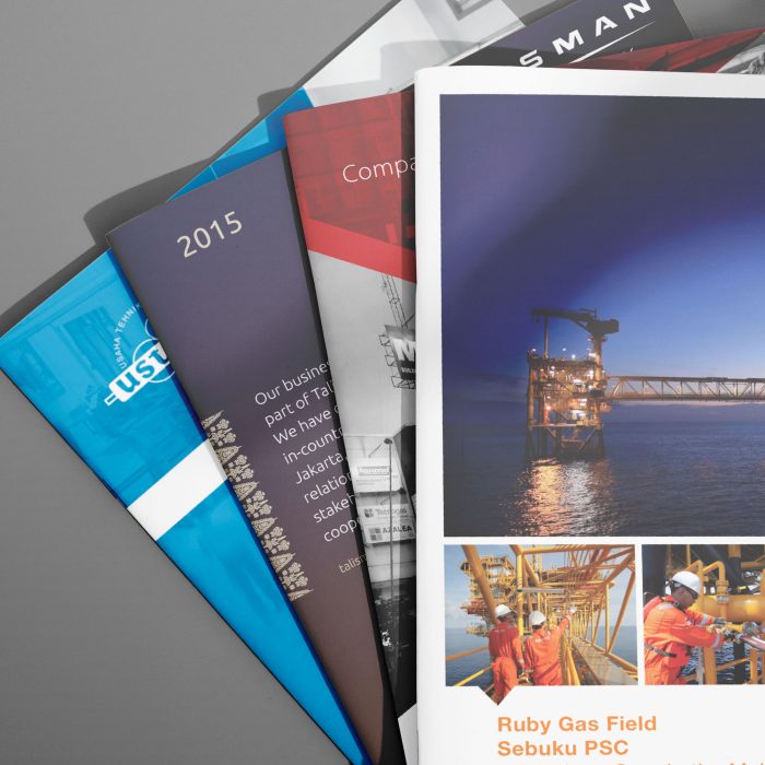 Profile brochures provide brief information about the company, business, product, or project to keep their stakeholders and prospective audience informed.