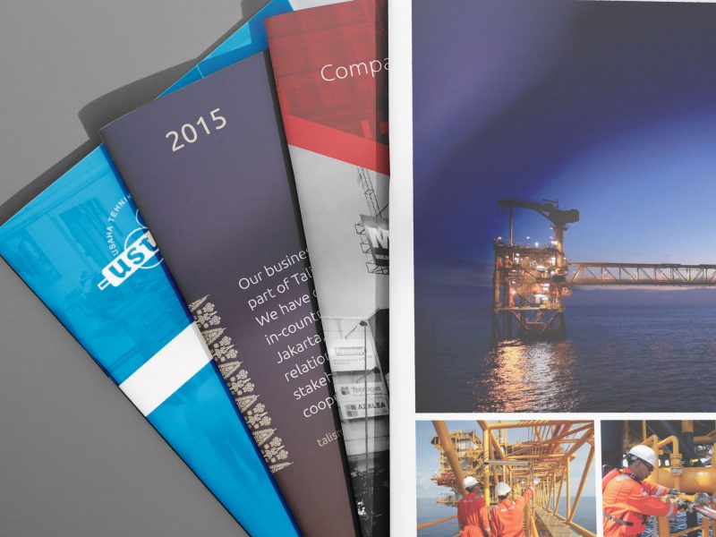 Profile brochures provide brief information about the company, business, product, or project to keep their stakeholders and prospective audience informed.